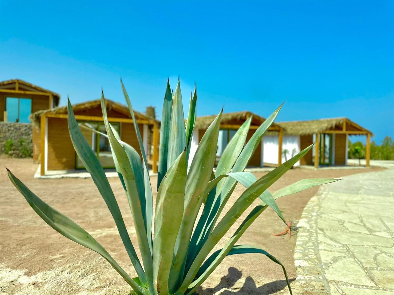 Ananda Beach Camp Nuweiba` Εξωτερικό φωτογραφία